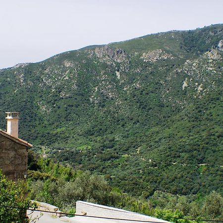 Studio Le Petit Nid D'Amour Meuble Tourisme 3 Etoiles Poggio Santa-Lucia-di-Tallano Exterior photo