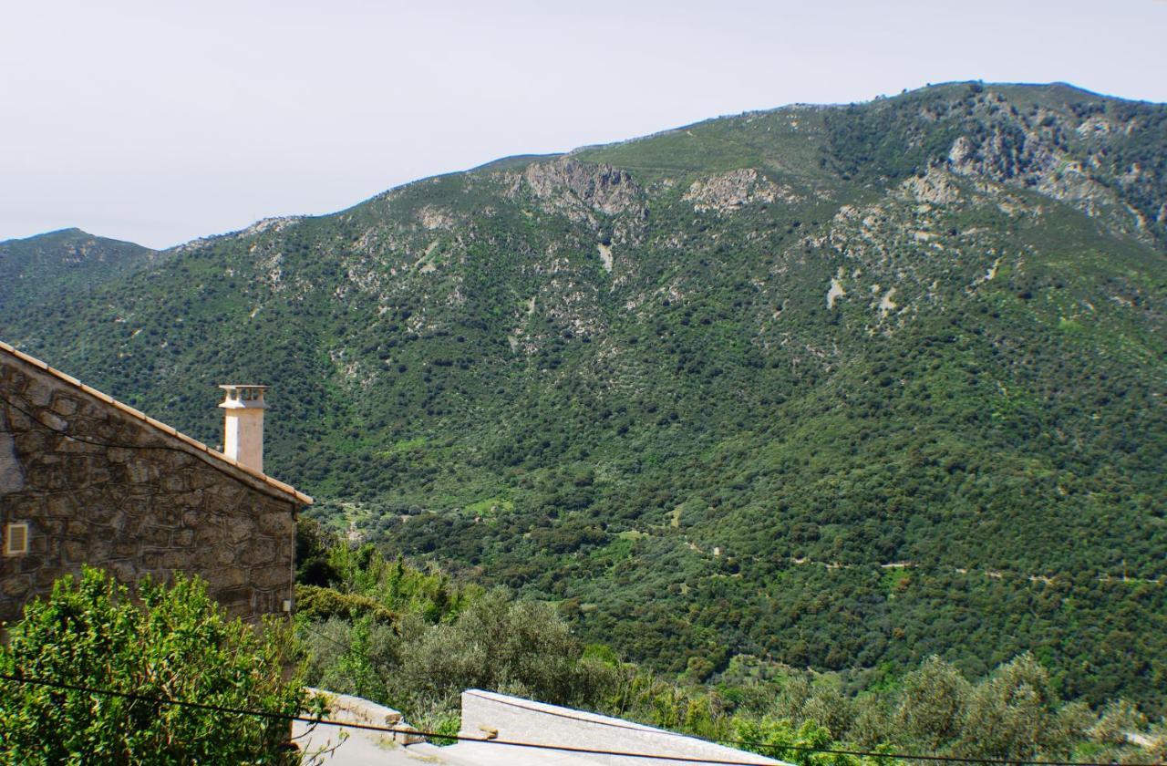 Studio Le Petit Nid D'Amour Meuble Tourisme 3 Etoiles Poggio Santa-Lucia-di-Tallano Exterior photo